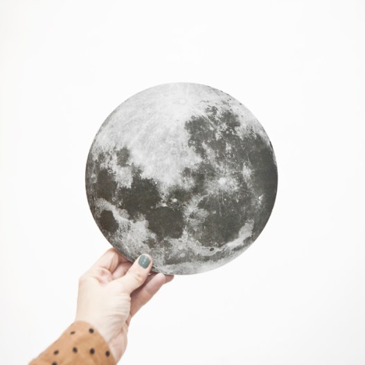 11848938-origpic-491489