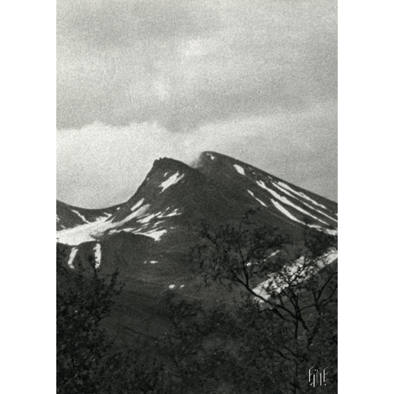 9313265-origpic-dbaa12