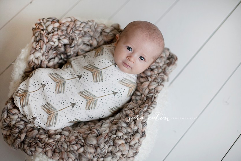 brown_arrow_wrap_2_web_logo