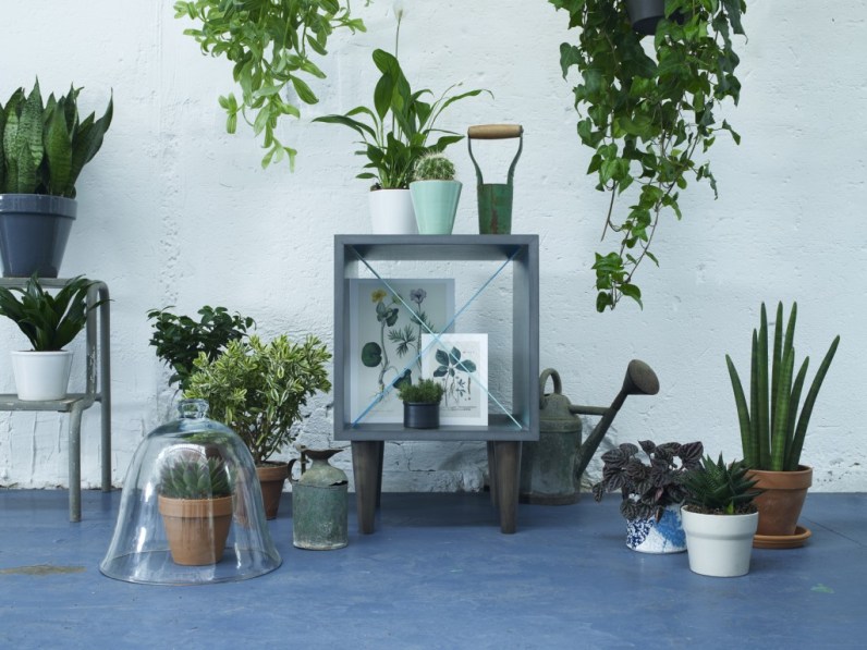 2013-11-20_elsarande_plantes-1024x768