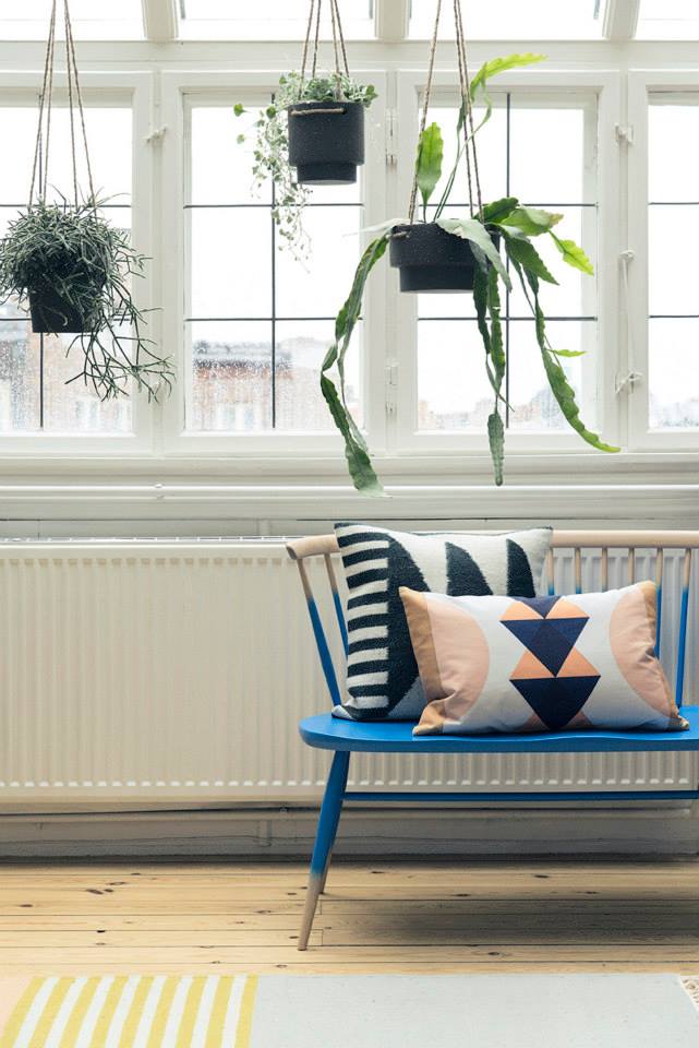 10593101_10152123628432242_5422854220823089837_n