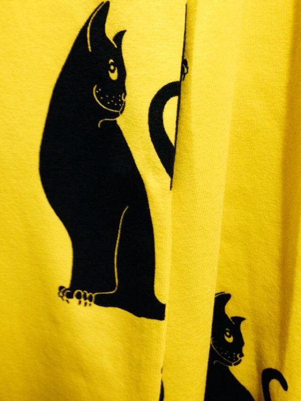 10808253_10153344495479638_1575976145_n-600x800