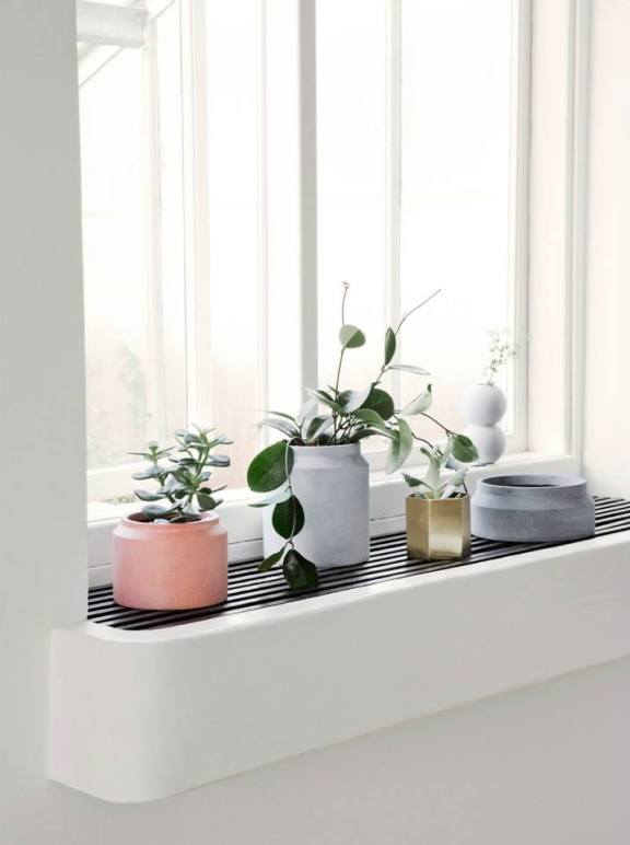 10933934_10152431968437242_2757267992927990938_n