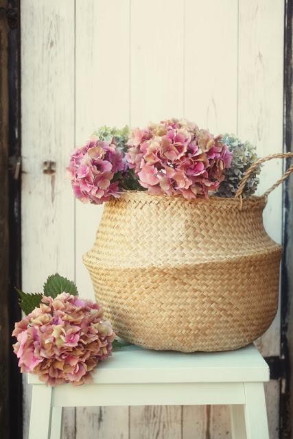 panier-boule-panier-star-L-Pqo15W