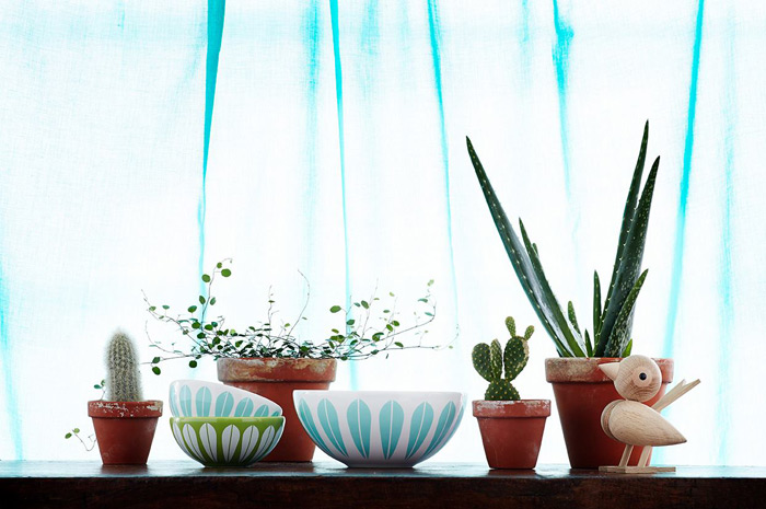 6a00d83451e8d469e201a73dbf923a970d-700wi