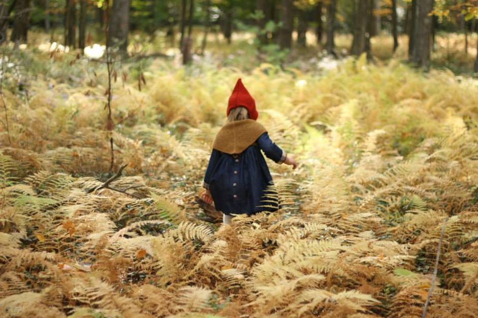 10734033_1564518530427808_4863466252691895414_n