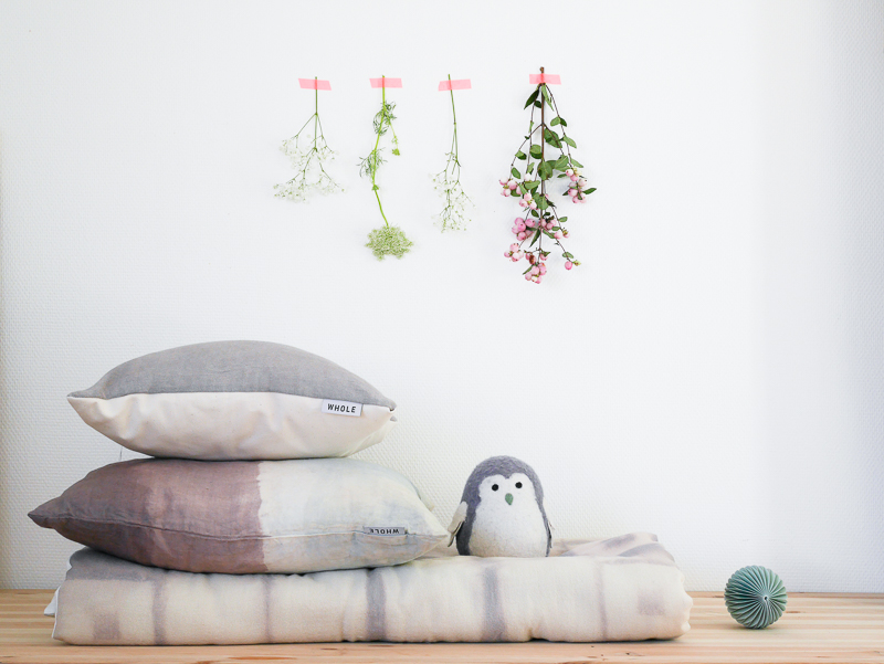 12036787_909184149118252_2913849698451674785_n